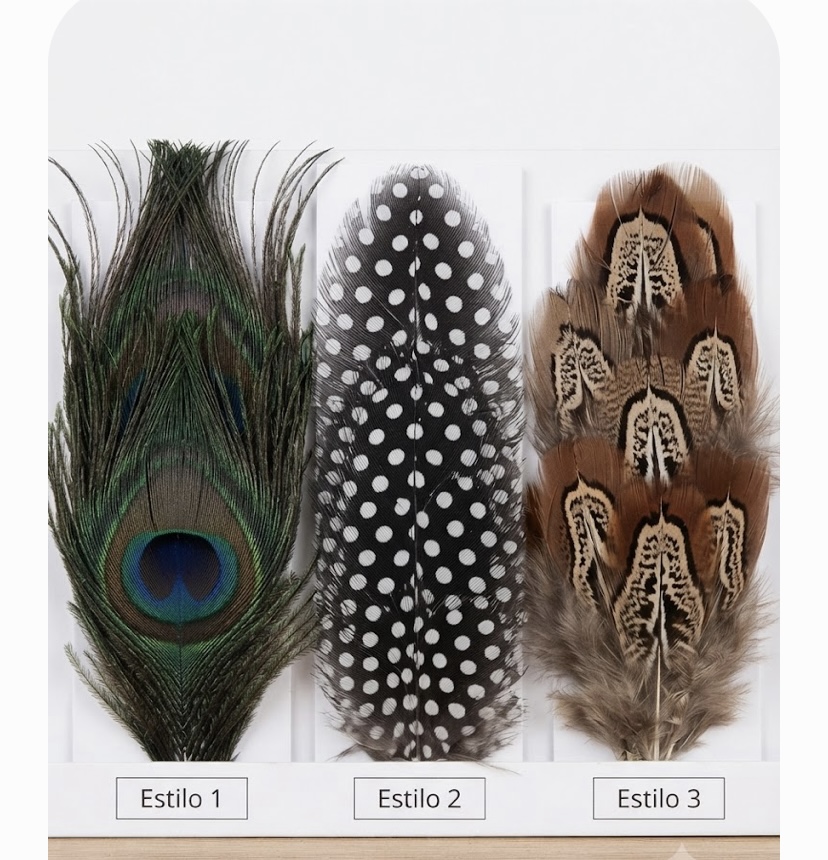 Plumas de variedad y colores